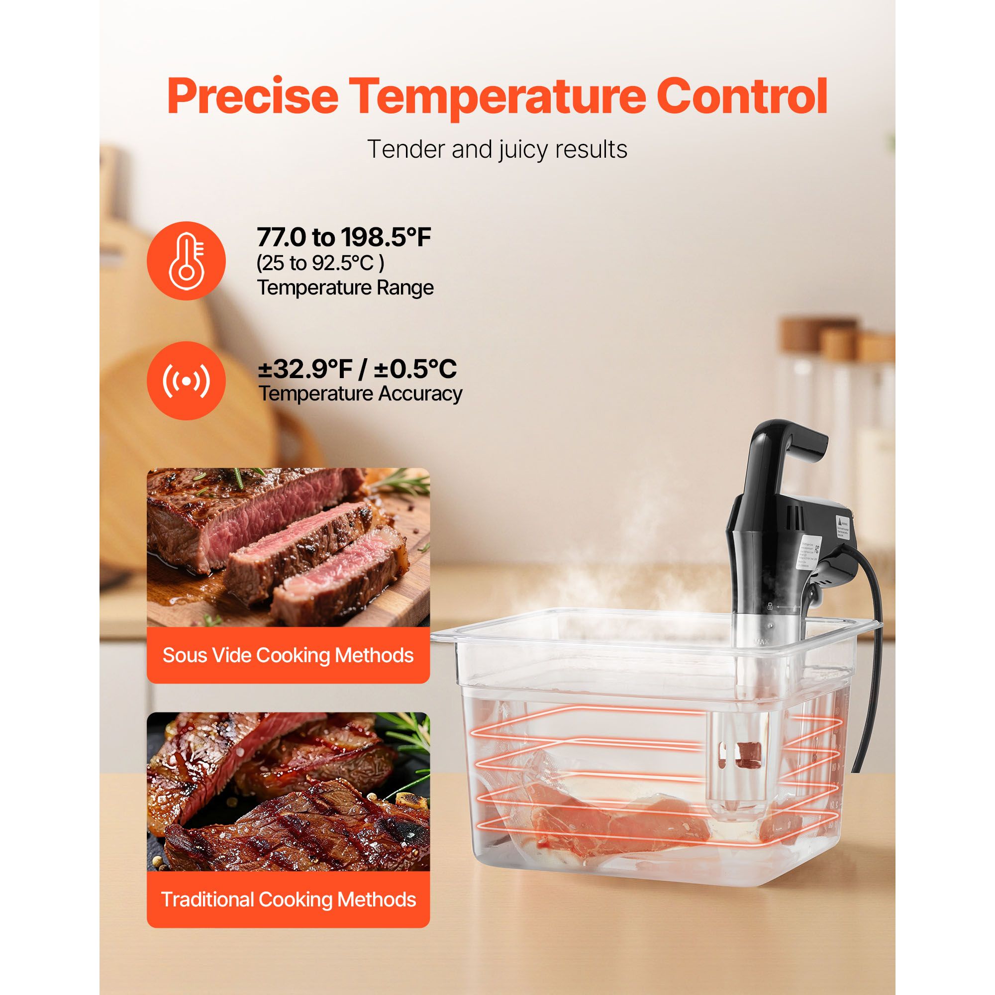 Penghangat Makanan Sous Vide P - Digital Sous Vide Precision Cooker ulasan dan harga