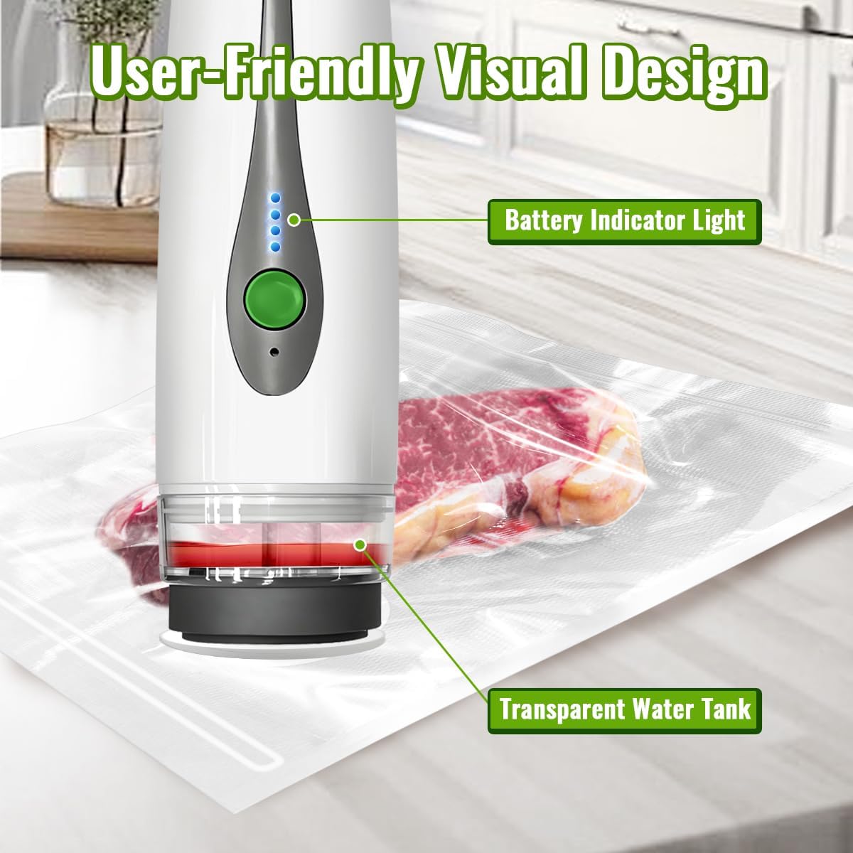 Mesin Pengemas Vakum Mini Otom - Food Vacuum Sealer Machine ulasan dan harga