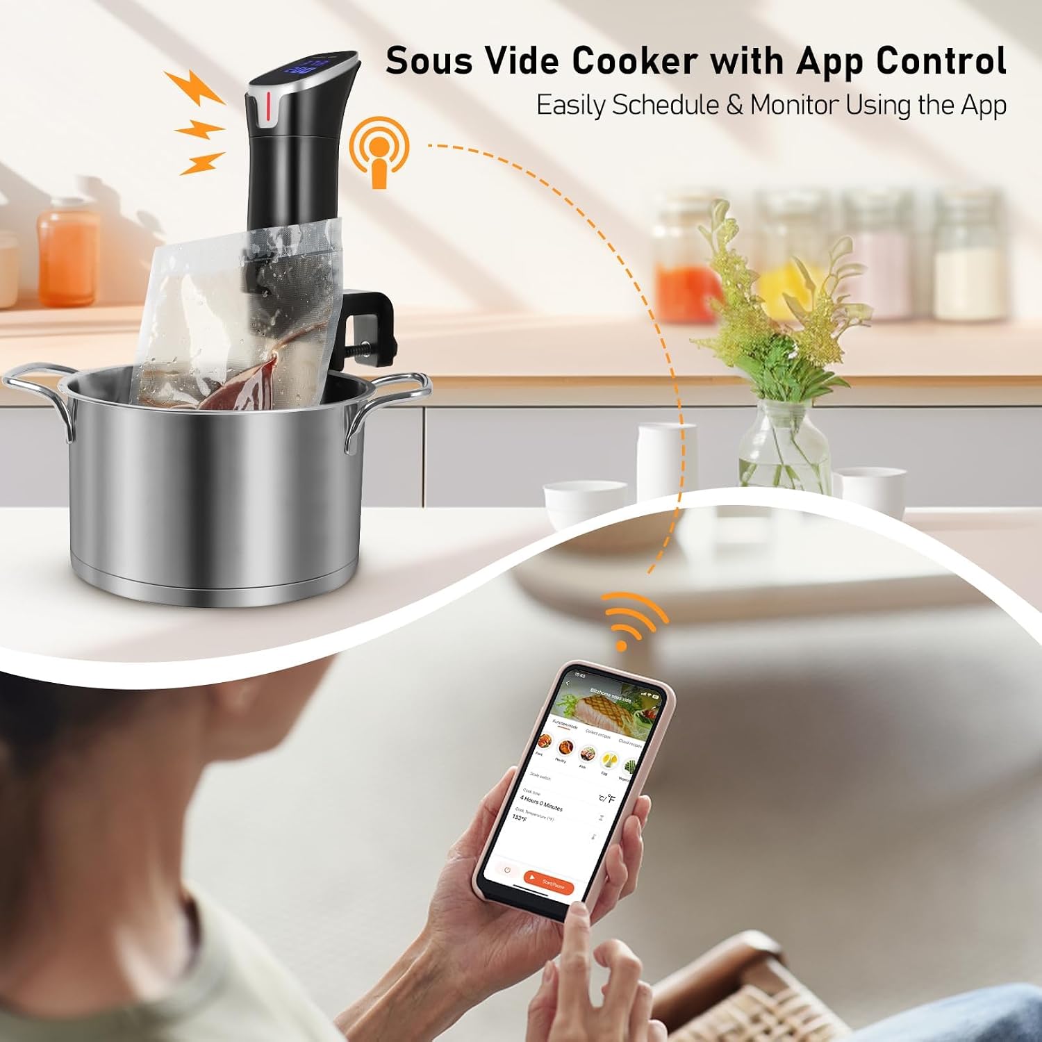 Pemasak Sous Vide Presisi 1100 - Digital Sous Vide Precision Cooker ulasan dan harga