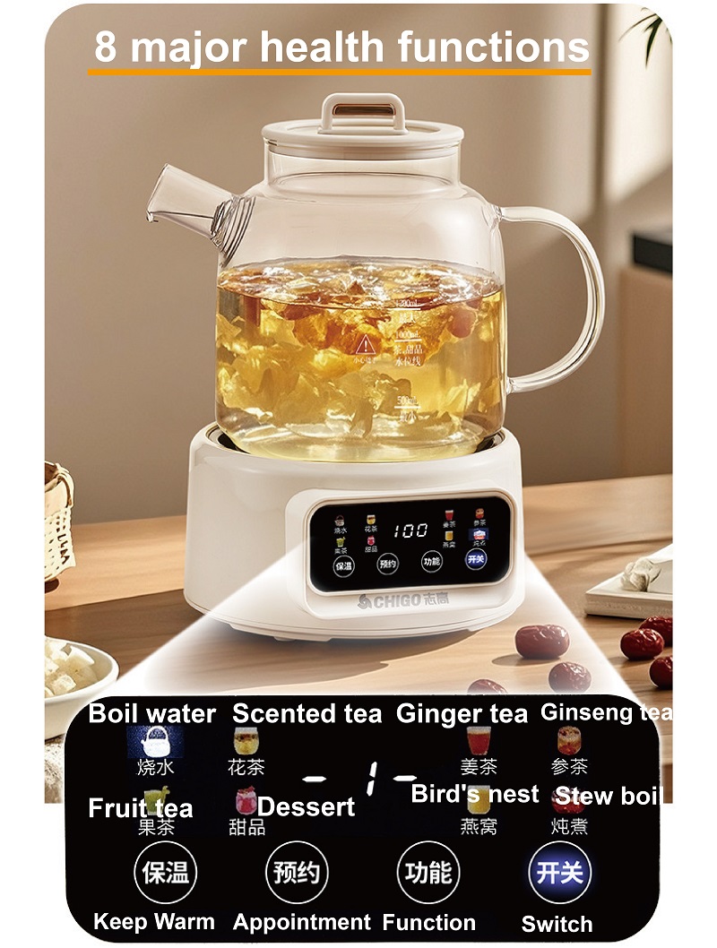 Ketel Kesehatan Multifungsi 60 - Electric Kettle Temperature Control ulasan dan harga
