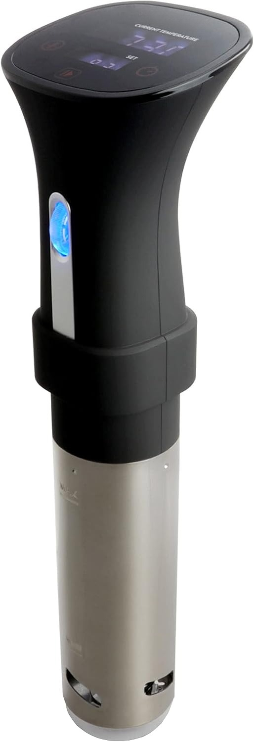 Penghangat Makanan Sous Vide P - Digital Sous Vide Precision Cooker ulasan dan harga